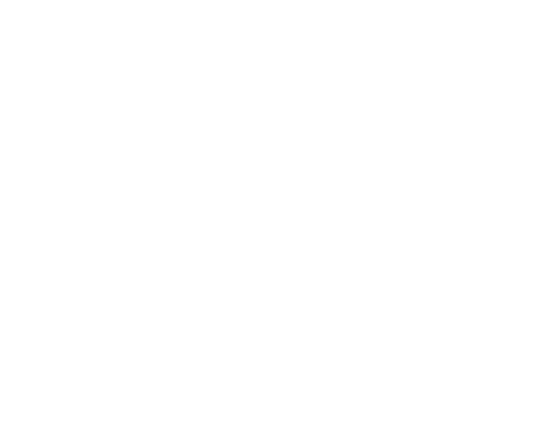 Macbrick
